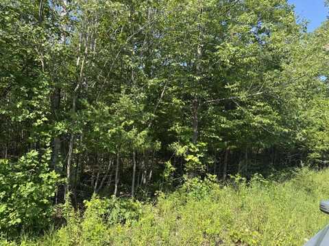 1520 Trails End Road, Mackinaw City, MI 49701