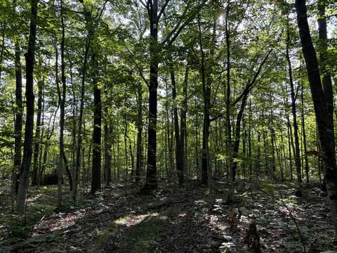 72.75 ac Shubert Highway, Presque Isle, MI 49777