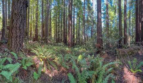 36505 Deep Woods Drive, The Sea Ranch, CA 95497