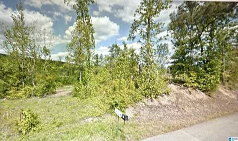 7201 NEW LIBERTY ROAD, JACKSONVILLE, AL 36265