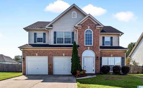 311 STONECREEK CIRCLE, HELENA, AL 35080