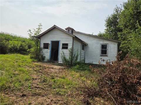 Chicken Road, Leon, NY 14751