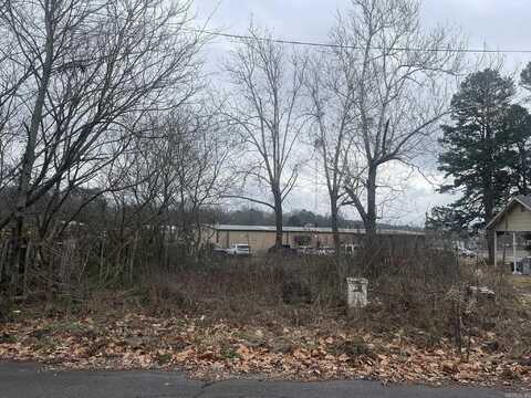 906 Elm Avenue, Mena, AR 71953