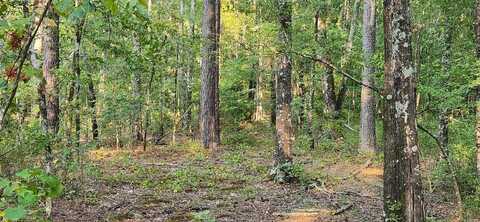 000 Alpine Road, Star City, AR 71667