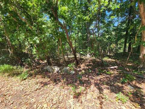 L28, B6 Zia Trace, Cherokee Village, AR 72529
