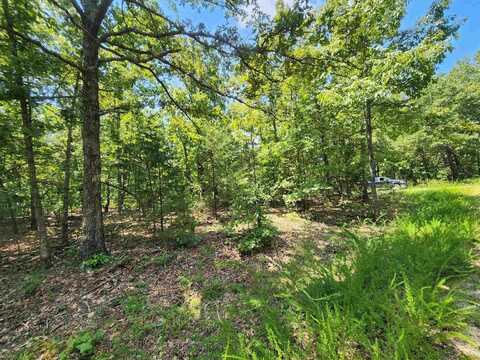 L-1,2,3, B-19 Nicatouse Drive, Cherokee Village, AR 72529