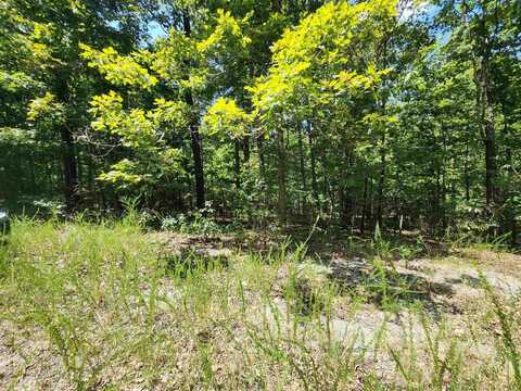 L-13, B-6 Calumet Drive, Cherokee Village, AR 72529