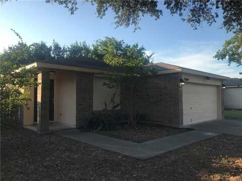 7809 Elk Drive, Corpus Christi, TX 78414
