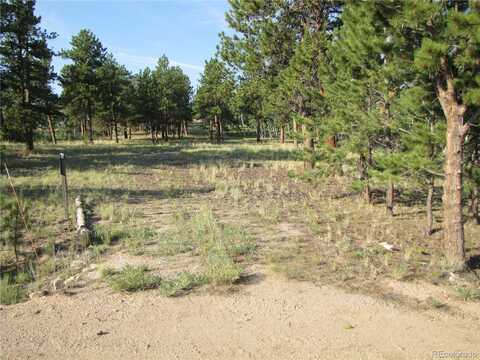 9798 Ranch Road, Hartsel, CO 80449