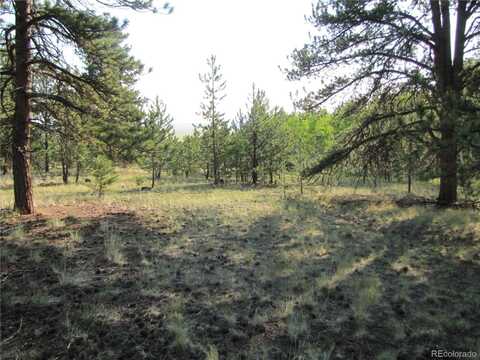 9736 Ranch Road, Hartsel, CO 80449