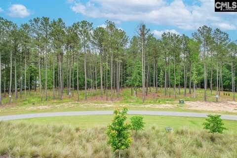 153 Stewart Landing Drive, Prosperity, SC 29127