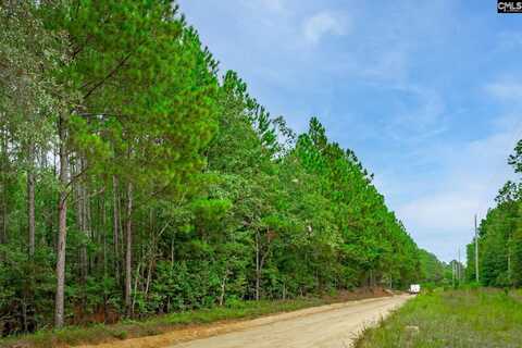 757 Goose Platter Road, Batesburg, SC 29006