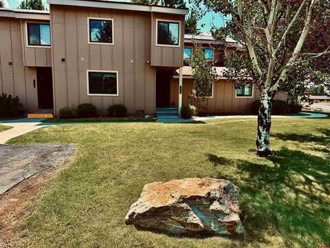 145 Davis Cup Drive, Pagosa Springs, CO 81147