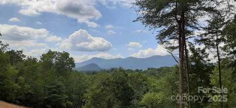 Levi Road, Columbus, NC 28722