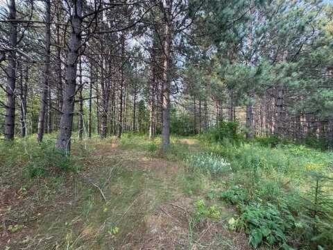 53XX Bergstopp Ln, Saginaw, MN 55779