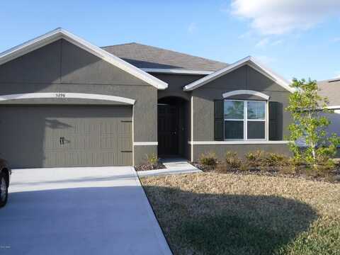 5296 Bear Corn Run, Port Orange, FL 32128