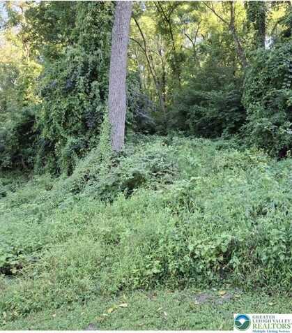 2784 Township Line, Lowhill Twp, PA 18069