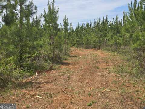 07 Marvin Murphy, Ellaville, GA 31806