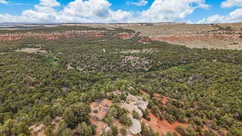 Tbd S 9 8/10 Road, Glade Park, CO 81523