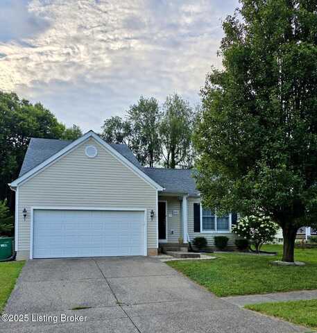 4503 Fallen Apple Ln, Louisville, KY 40218