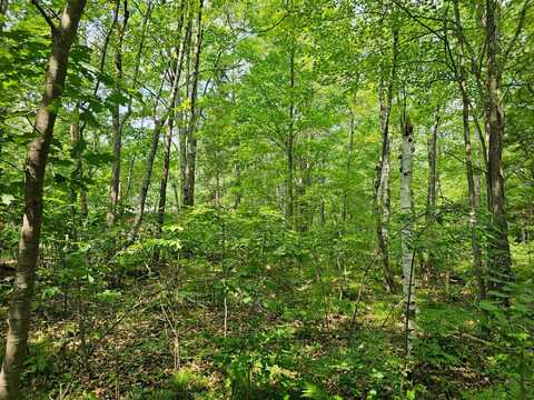 On MARIE LN, Minocqua, WI 54548