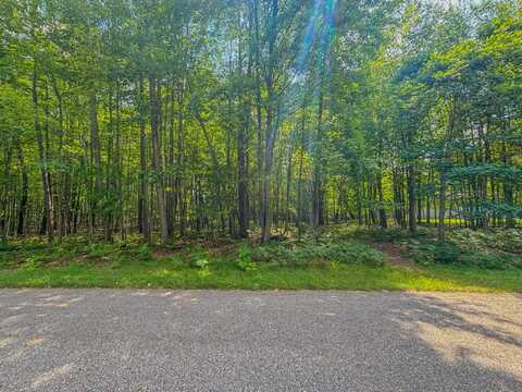 9385 Clubhouse Drive W, Canadian Lakes, MI 49346