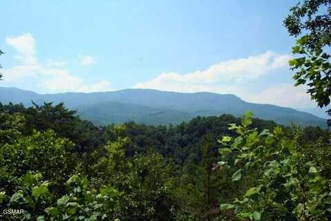 Lot 64 Vixen Run, Gatlinburg, TN 37738