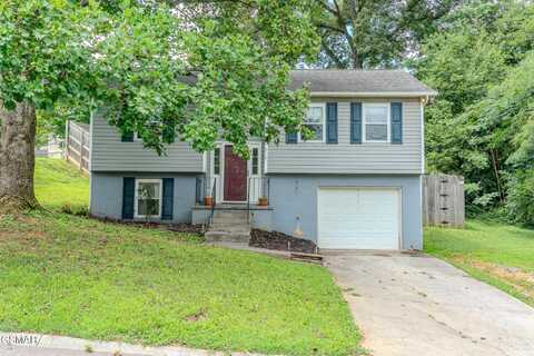 4117 Mascarene Road, Knoxville, TN 37921
