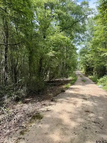 TBD County Road 3408, Jefferson, TX 75657