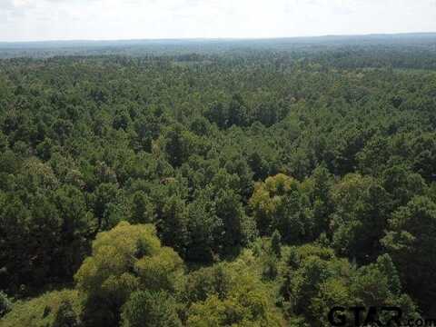 TBD COUNTY ROAD 2218, Rusk, TX 75785