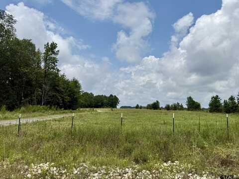 TBD Private Road 7234, De Berry, TX 75639