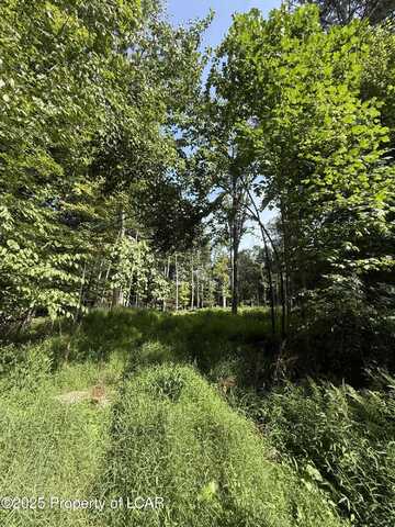 Ledge Drive Rear, Clarks Summit, PA 18411