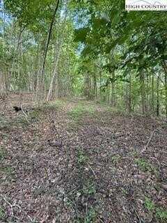 Tbd Parson's Hill Road, Lansing, NC 28643