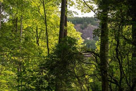 173 Lonesome Valley Road, Sapphire, NC 28774
