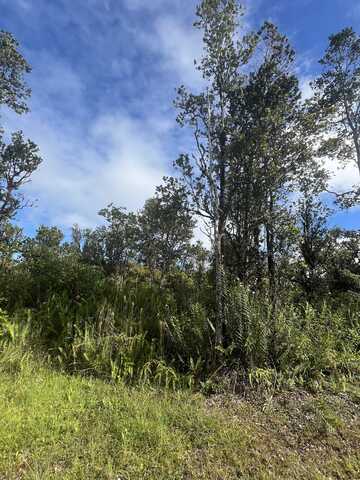 WAILELE ST, Mountain View, HI 96771