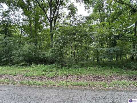 Lot 0 Lakeview Drive, Bloomfield, KY 40008