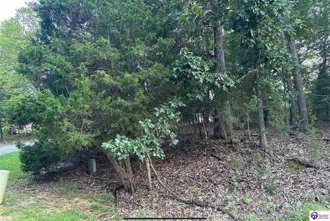 539 Strawberry Hill Drive, Brandenburg, KY 40108
