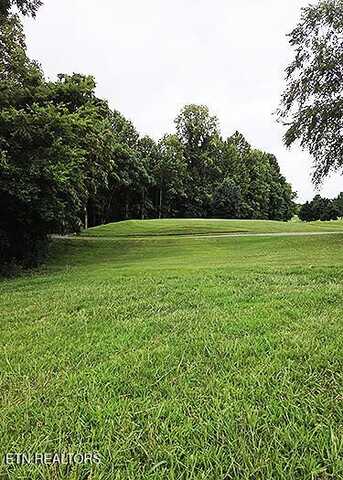 148 White Hawk Drive, Vonore, TN 37885