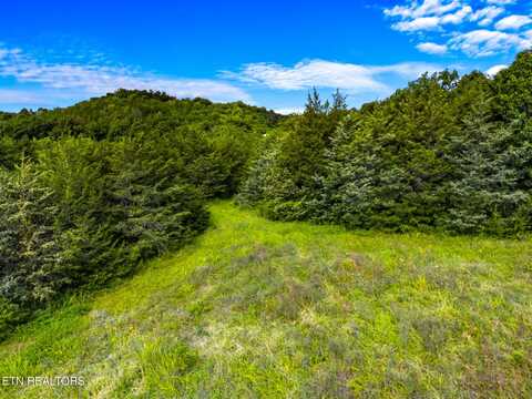 Lot 7 Lonesome Pine Rd, Bybee, TN 37713