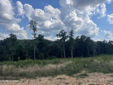 Lot 19 Laura Boling Loop Rd, Strawberry Plains, TN 37871