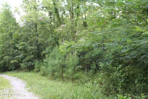 299 Fair Oaks Lane, Jamestown, TN 38556