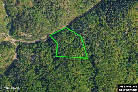 4138 Richardson Cove Rd, Sevierville, TN 37876