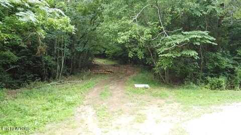 171 Acres Scenic River Rd, Madisonville, TN 37354