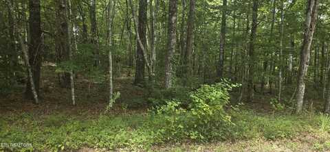 13 Yorkshire Terrace, Crossville, TN 38558