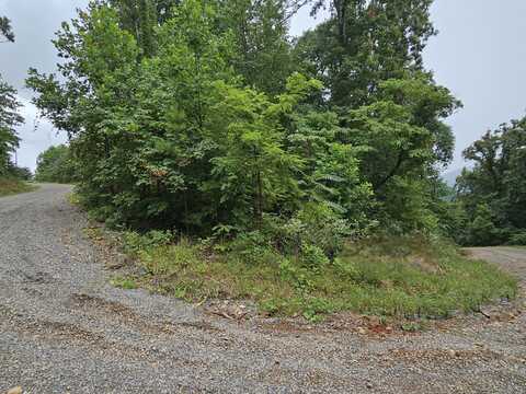 Lot 10 Ridge Walk Rd, Cosby, TN 37722