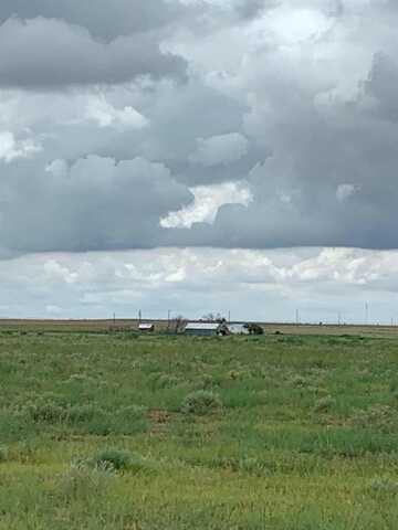 Lot 2 FM 1317, New Home, TX 79383