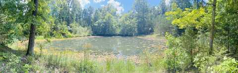 0 County Line Road, Columbia, KY 42728