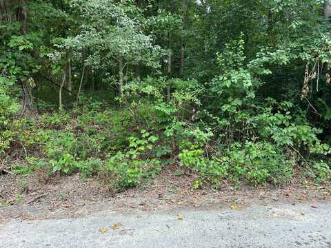 12-13 Marshall Street, Brookneal, VA 24528