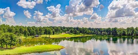 172 County Road 61, Pike Road, AL 36064