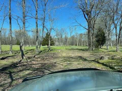 80 MACON RIDGE, Williston, TN 38076